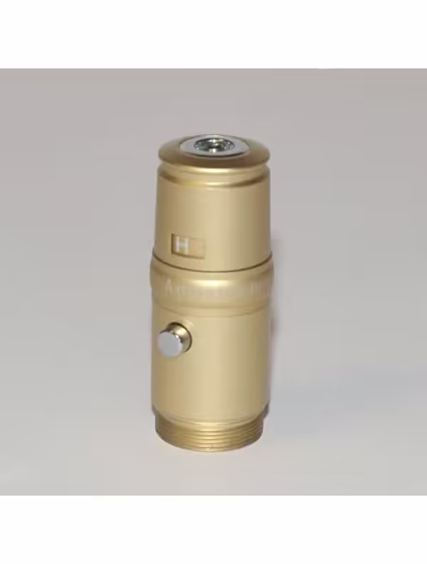 Gold Adjustable Power Adapter SKINSTYLUS Microneedle Corded 5-Pin Model Round